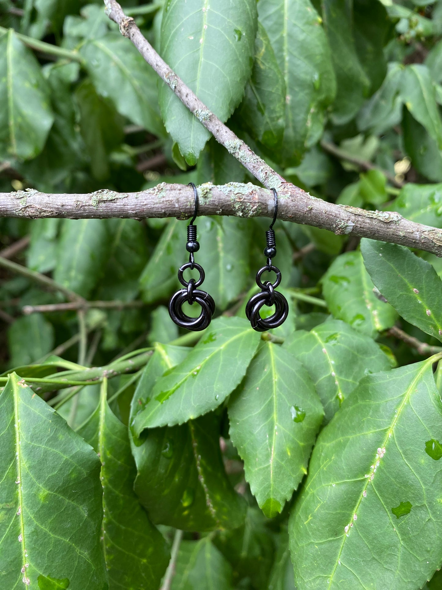 Mobius Knot