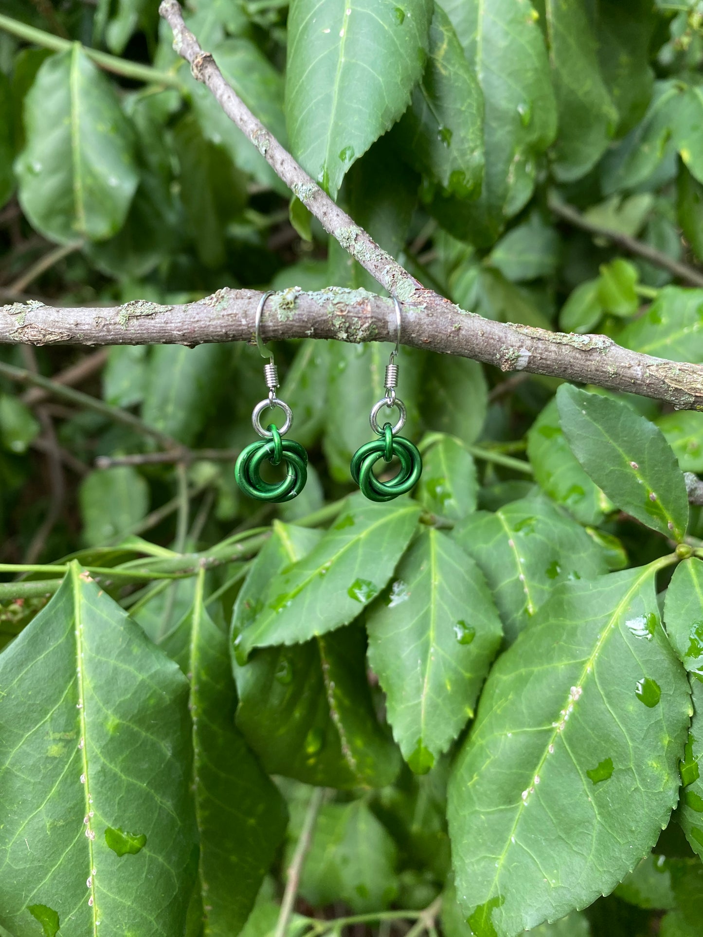 Mobius Knot