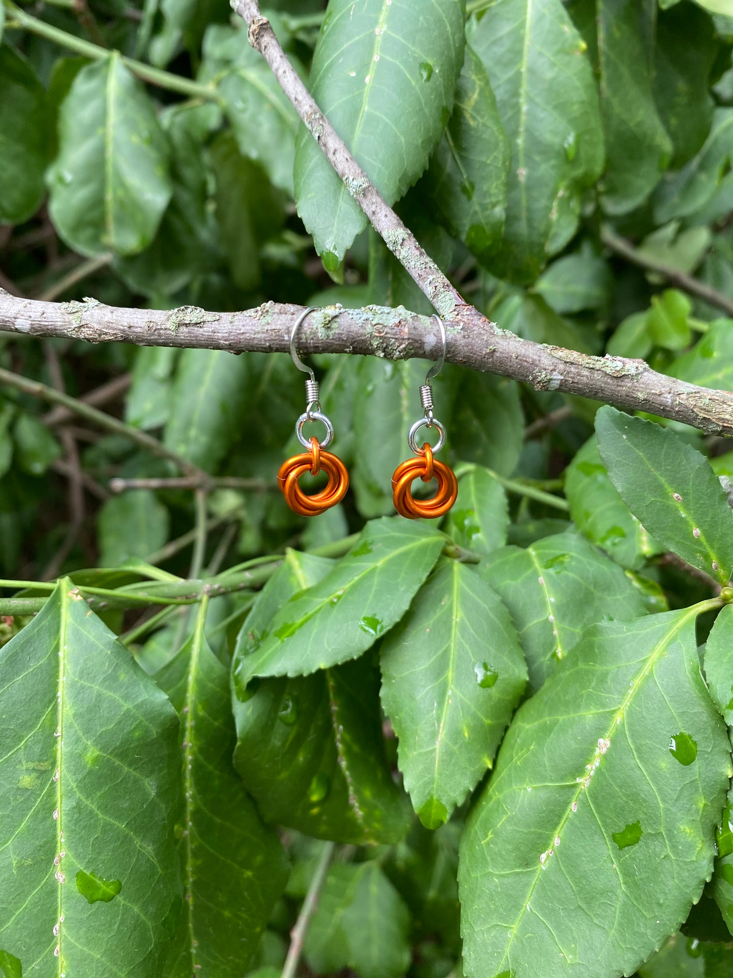 Mobius Knot