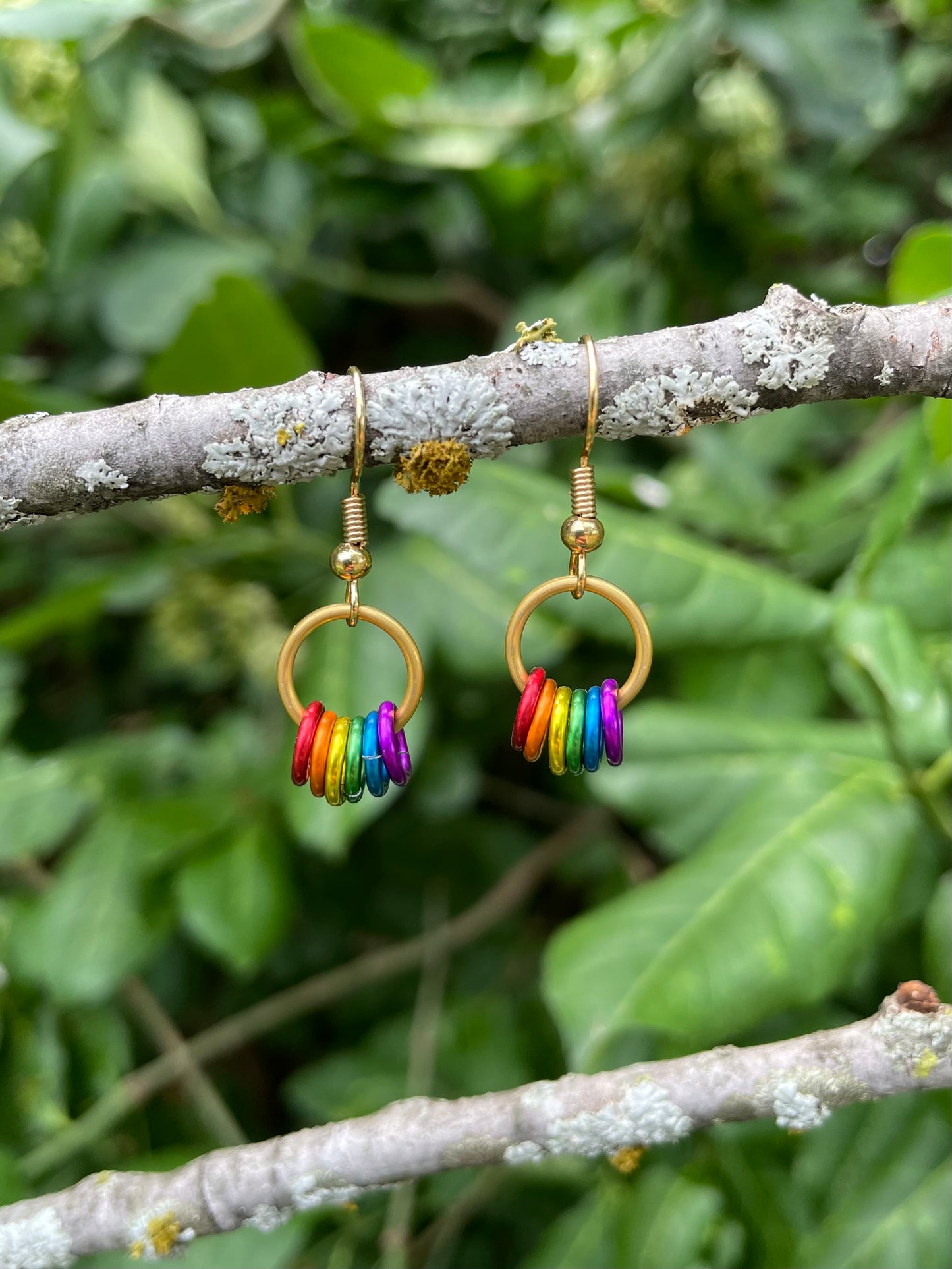 Classy Rainbow