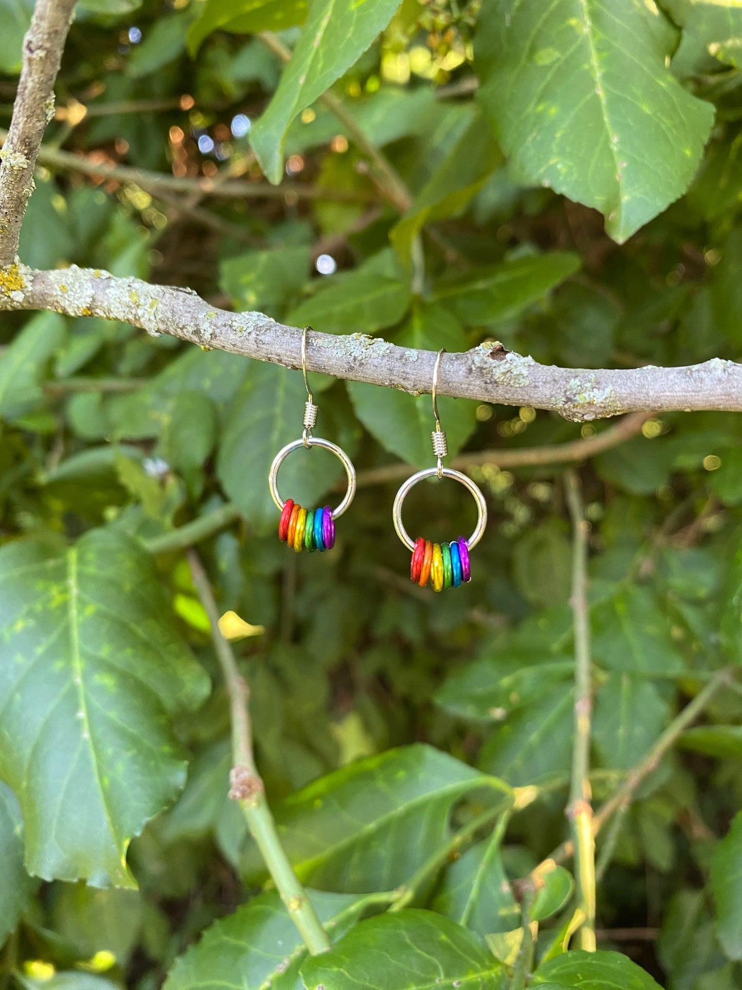 Classy Rainbow