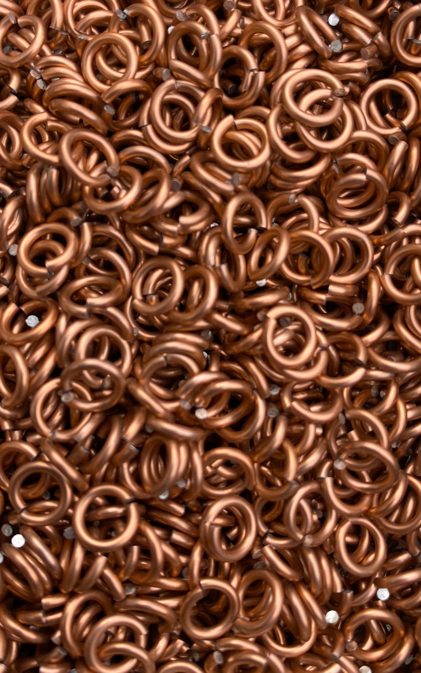 Mobius Knot